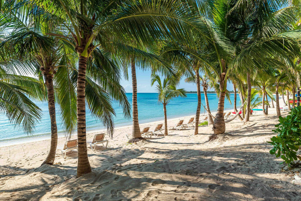Loungers and hammocks under the palms on the sand at Soliman Bay