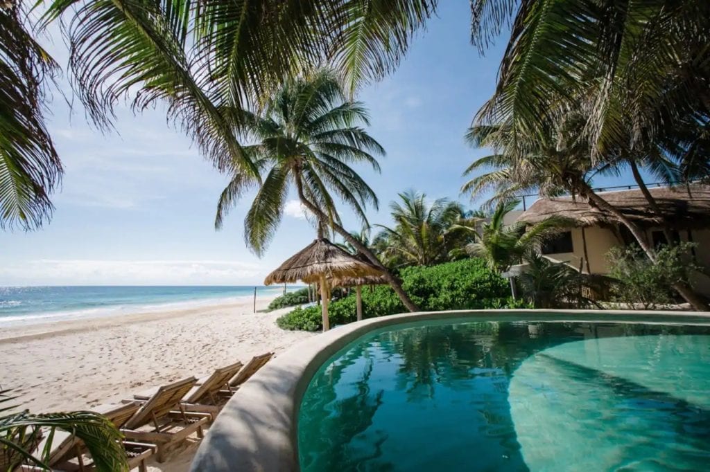 Casa de las Palmas curved pool framed by leaning palms above the sandy beach — Tulum, Mexico