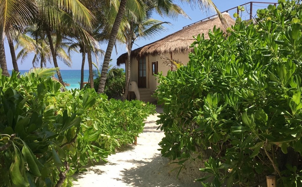 Casa Gaia sand path through greenery to a thatched-roof casita — Tulum, Mexico