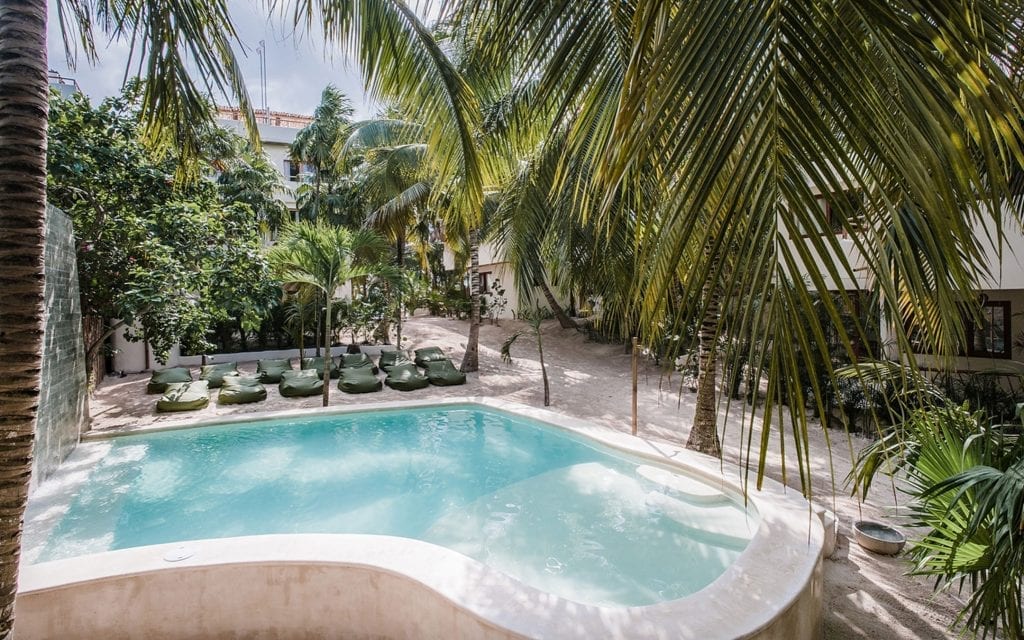 The curved communal pool surrounded by palms and loungers at Zorba Tres, Tulum