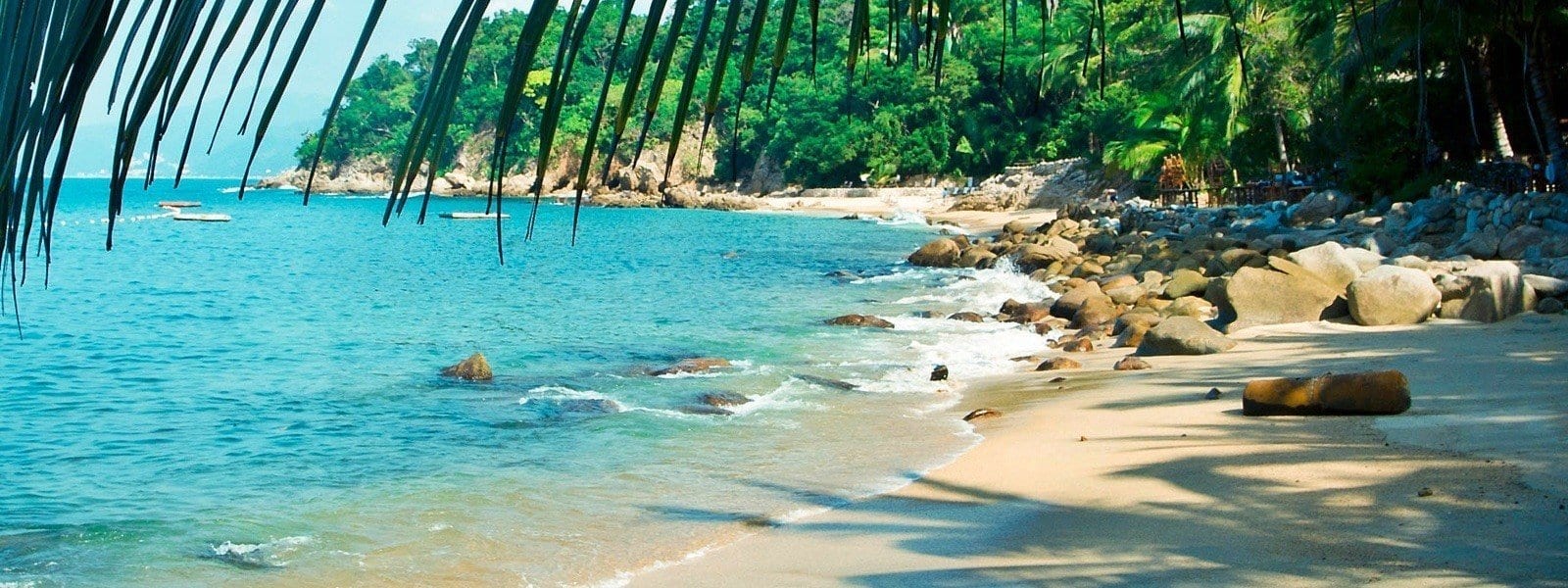 Rhythms of the Night dinner show secluded beach Puerto Vallarta