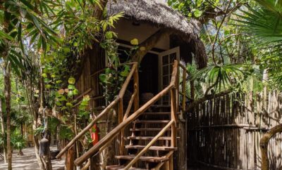 Eclectic Treehouse
