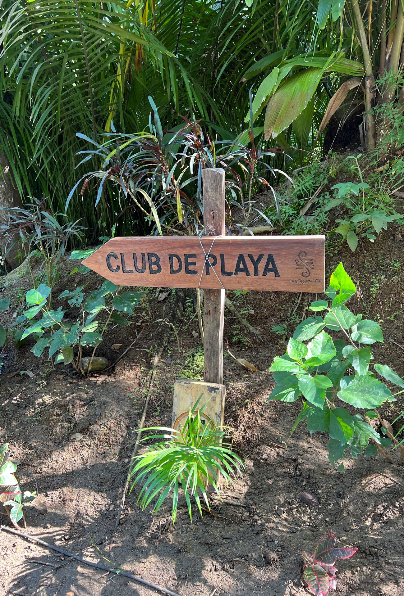 punta sayulita beach club