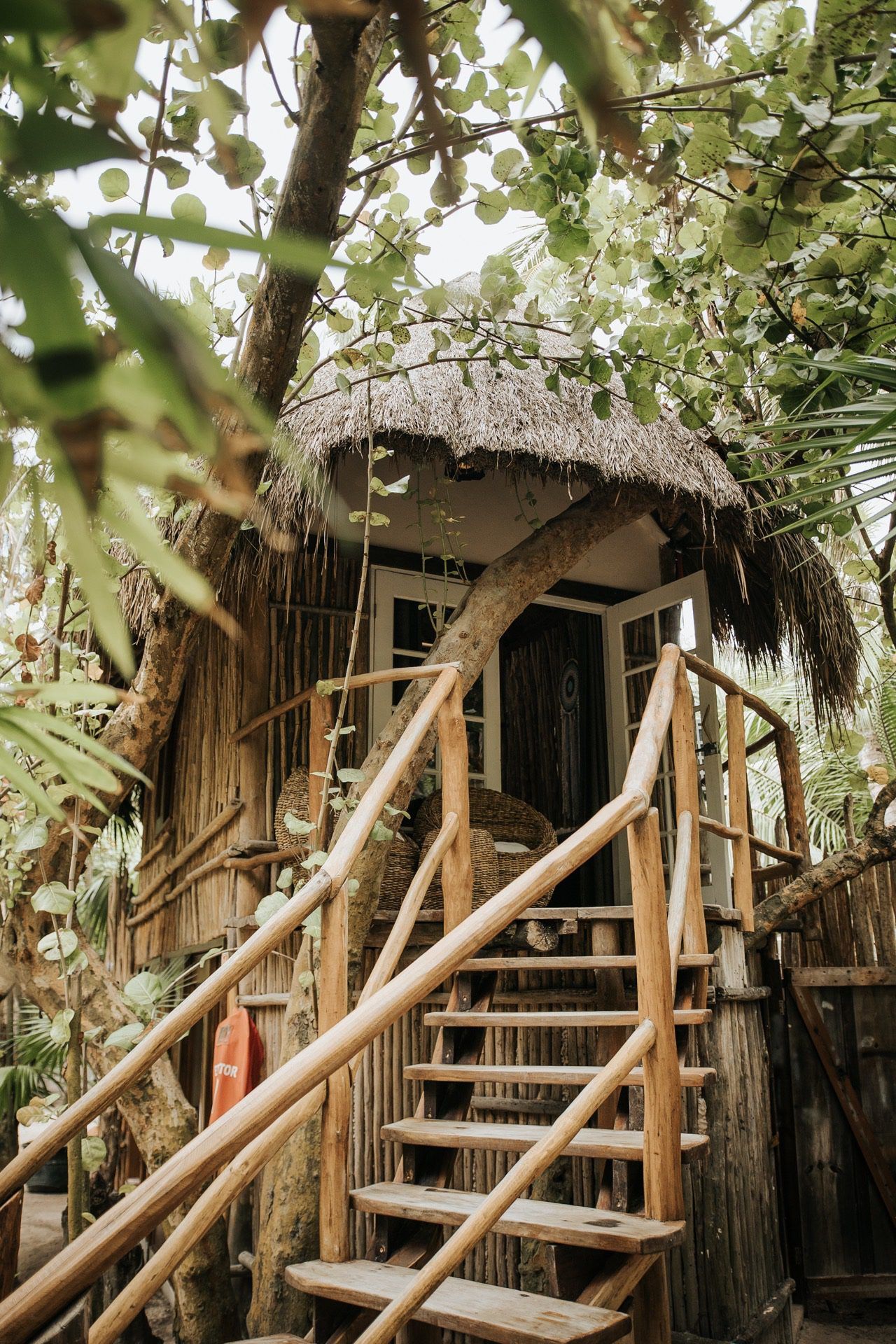 mahayana treehouse