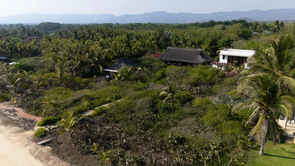 Casa Los Guajes groves and rooftops spreading to the far sierra — Puerto Escondido, Mexico