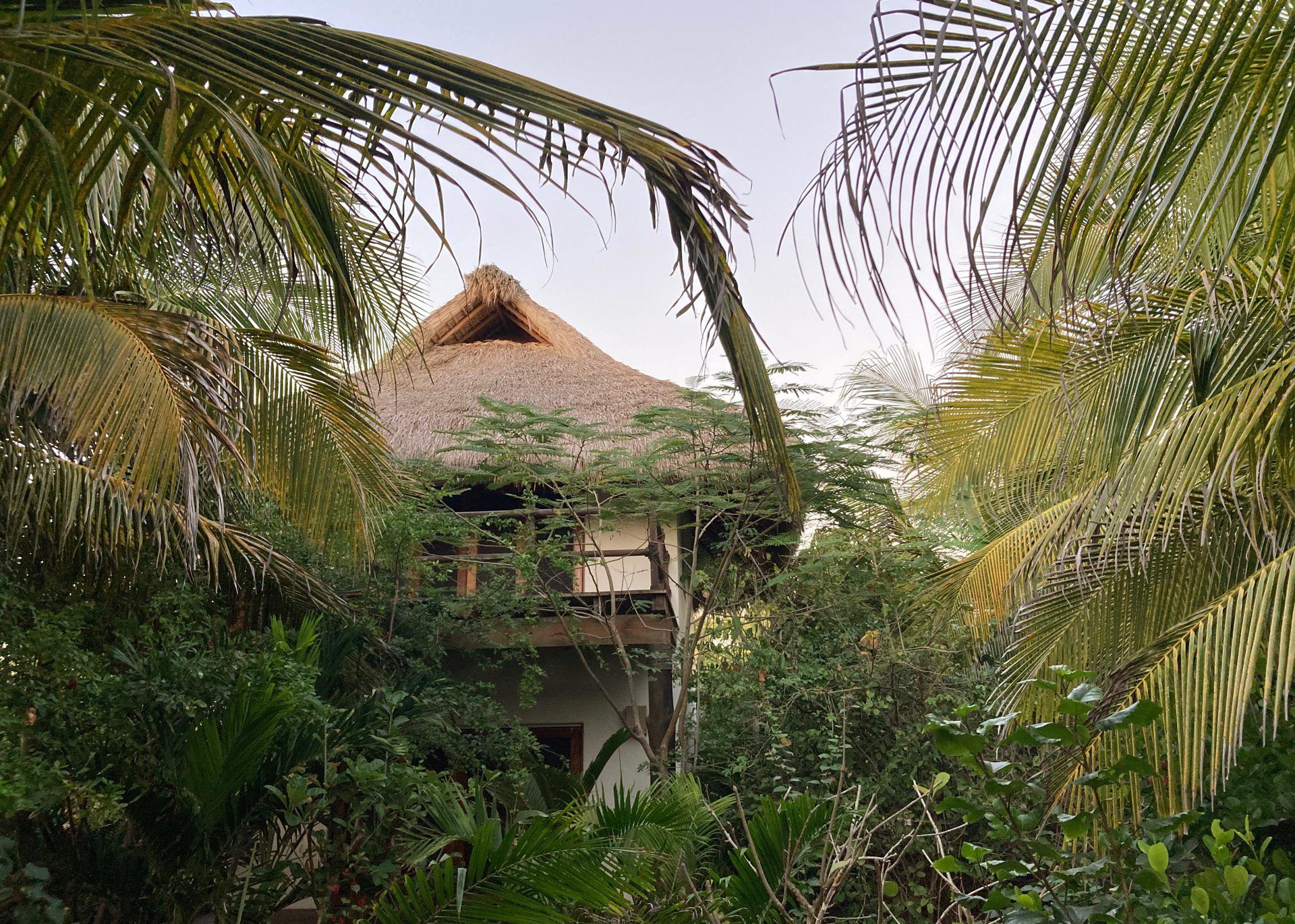 los guajes bungalow palmeras
