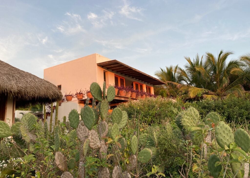 Suite Piñas cactus in front of the terracotta wall and thatch — Puerto Escondido, Mexico