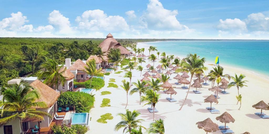 The palm line, the white sand and the turquoise shelf of the Riviera Maya from the air