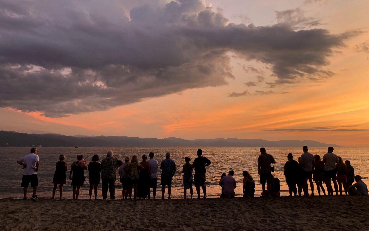 Sea Turtle Release in Puerto Vallarta - Villa Experience