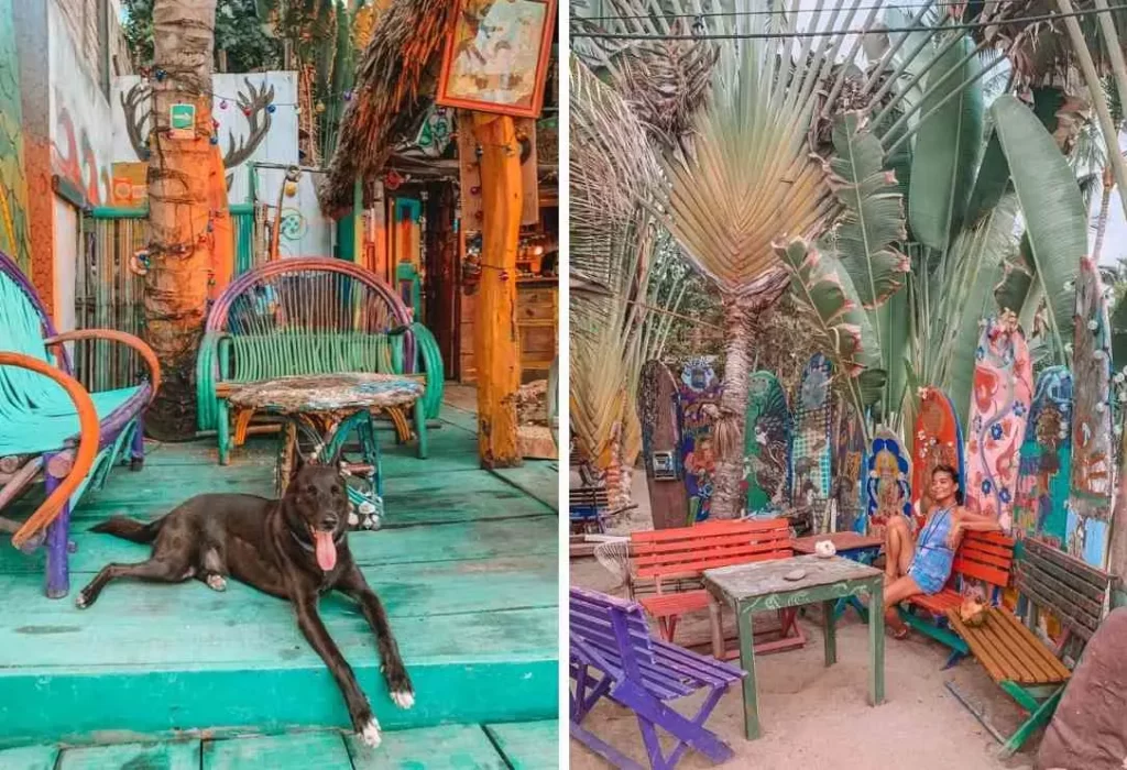 sayulita dog friendly