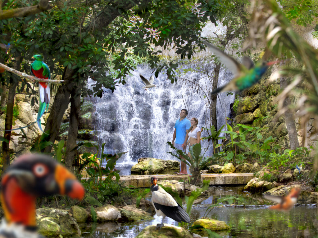 pabellón de las mariposas en el parque xcaret