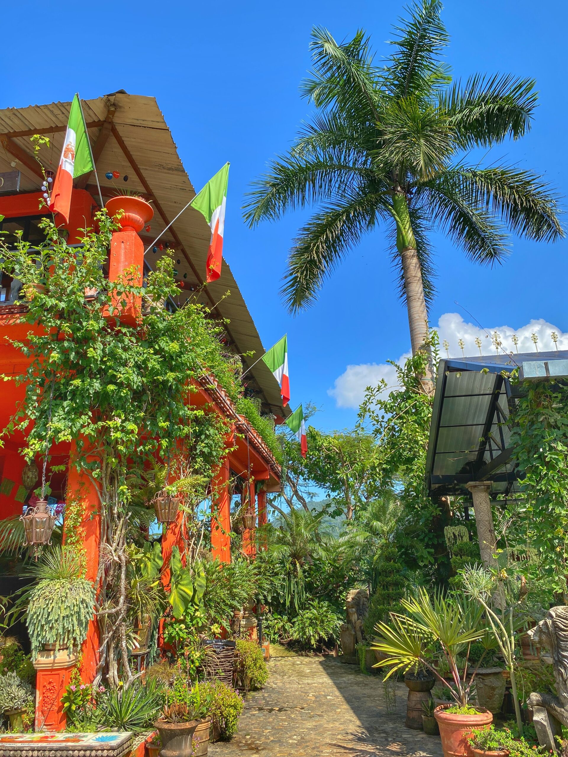 Sierra Madre jungle and nature adventures near Puerto Vallarta