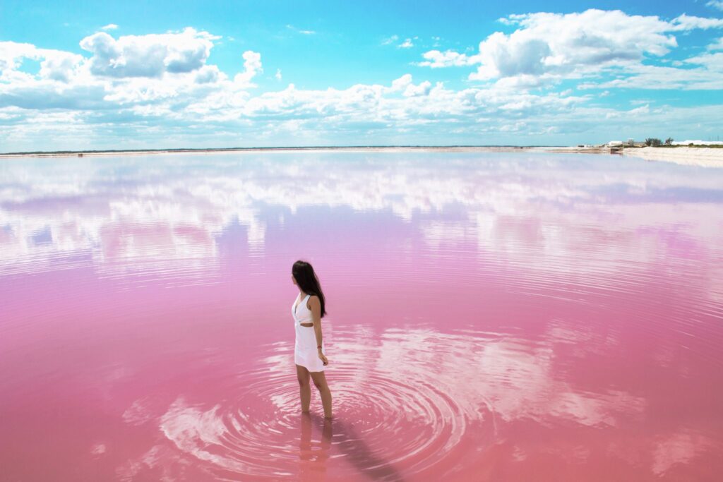pink lagoon yucatan mexico