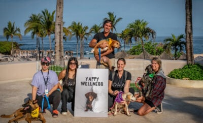 The Ultimate Guide to the Paws for All Seasons Program at Four Seasons Punta Mita