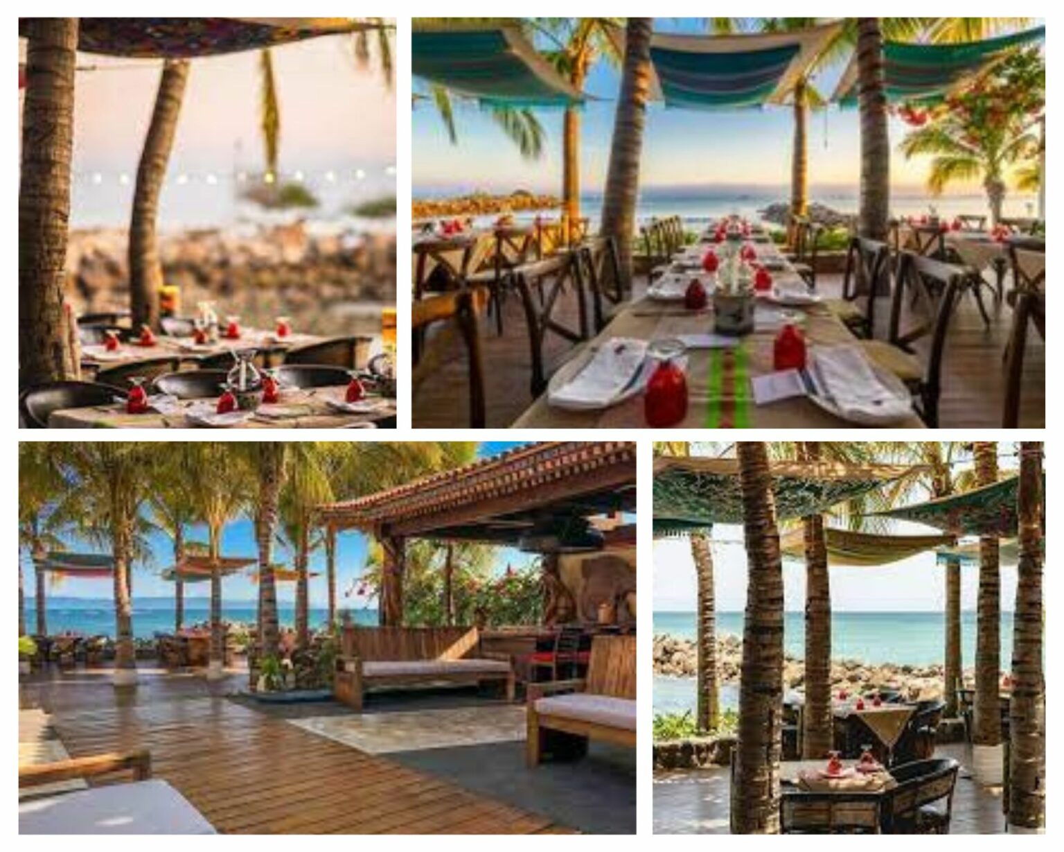 Best Restaurants in Punta Mita Top Culinary Experiences 2023