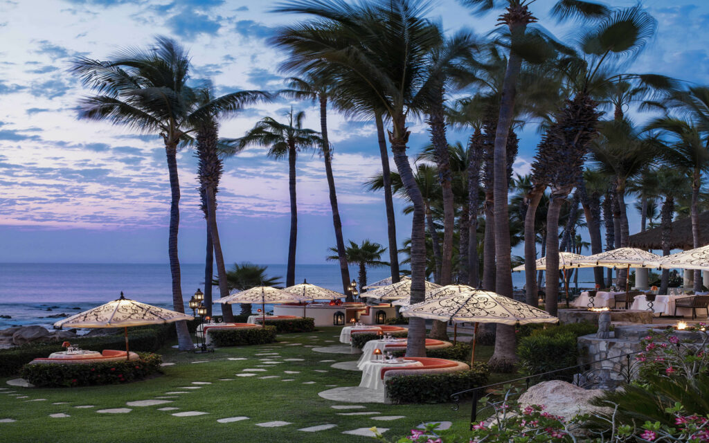 one and only palmilla
