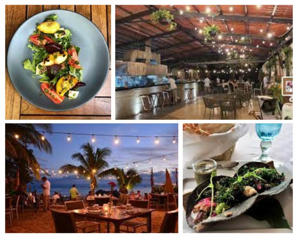 Punta Mercedes, a beachfront eatery with diverse dishes