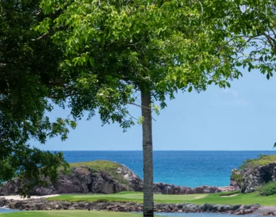 villa-alfaro-punta-mita3