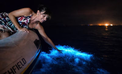 Bioluminescence in Puerto Vallarta: Night Tours Guide (2026)
