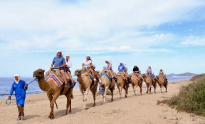 Things to Do in Cabo San Lucas: Complete Activity Guide (2026)