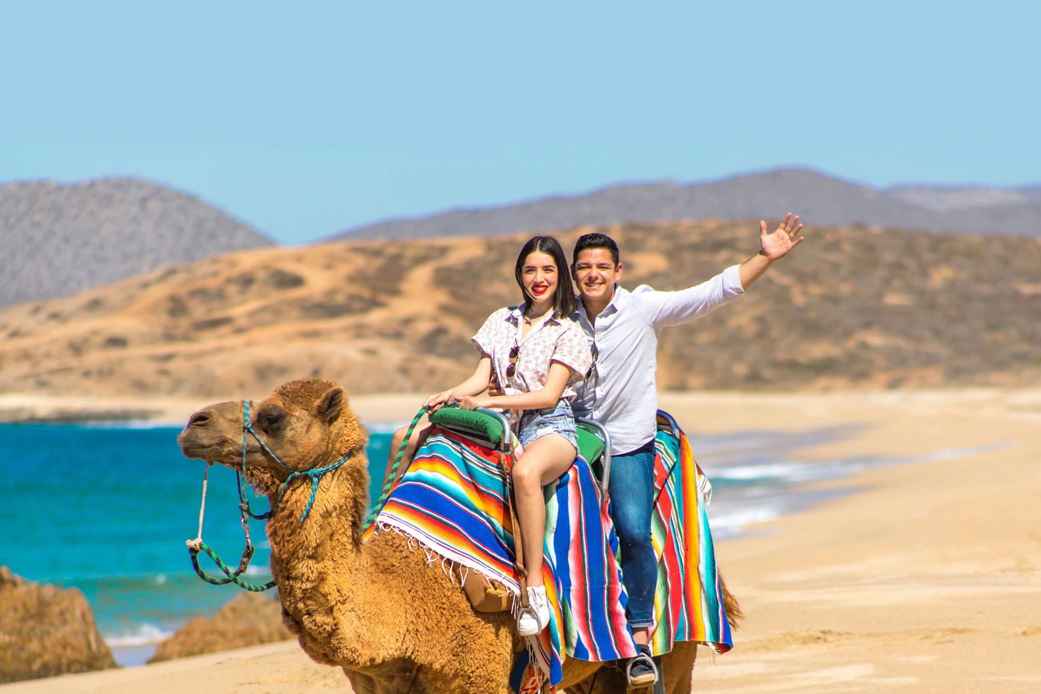 Camel ride along secluded Baja beach with desert and Pacific Ocean sunset Cabo San Lucas