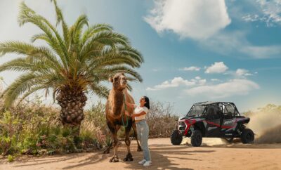 ATV & Desert Adventure Tours in Cabo San Lucas (2026)