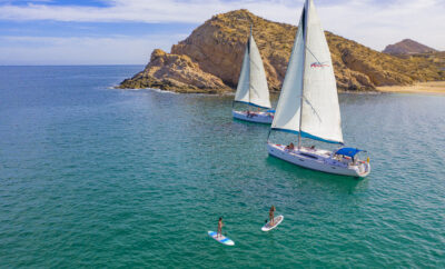 Cabo Boat Tours & Sunset Cruises: El Arco & Beyond (2026)
