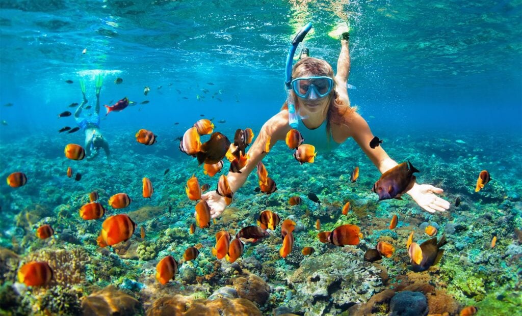 Snorkellers above coral and shoals of orange fish at the Marietas Islands