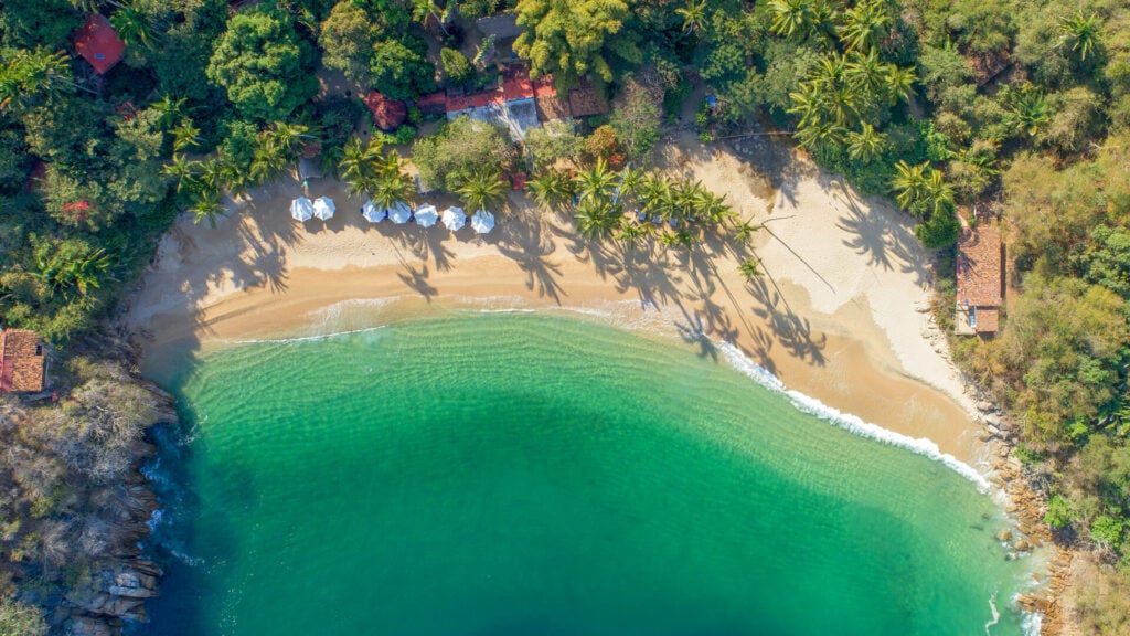 Aerial view of a palm-lined sandy cove with clear green water