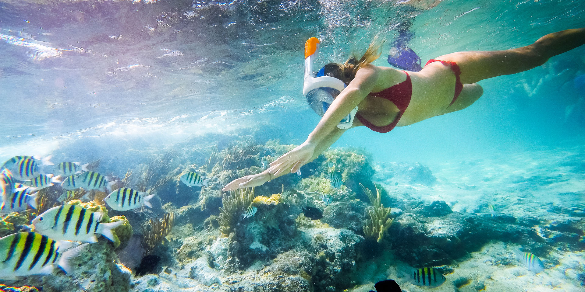 Snorkeling adventure in clear blue water near Punta Mita Marietas Islands
