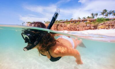 Snorkeling in Punta Mita: Best Spots, Tours & What You’ll See (2026)
