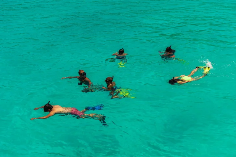 A group of snorkellers floats over clear water seen from directly above.
