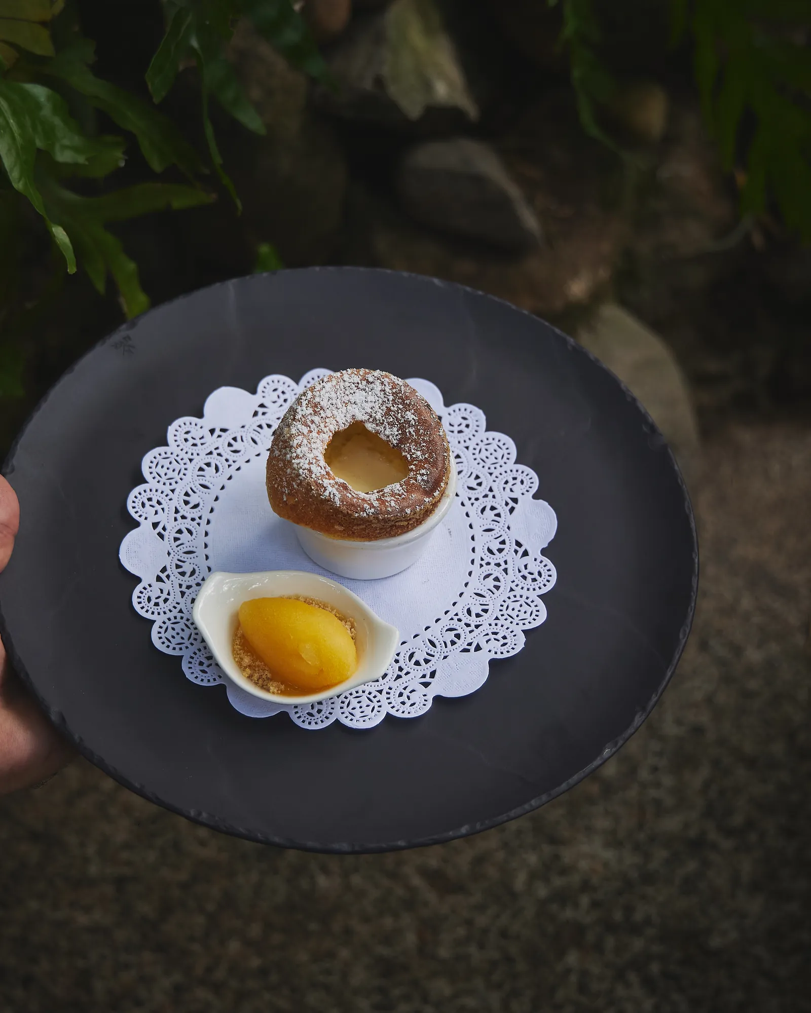 A hand holding a black plate with a small soufflé and a yellow cream on a paper doily, with plants behind