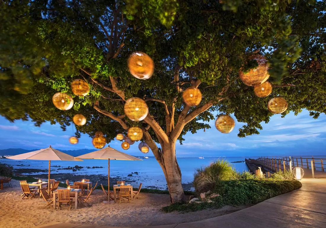 Il Molo's tables under a tree hung with woven lanterns, on the water at Porta Fortuna, Punta Mita