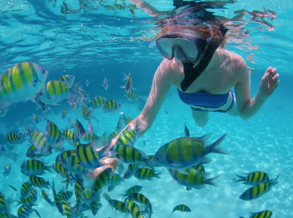 A snorkeller swims surrounded by black-and-yellow striped reef fish.