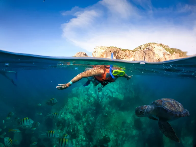 A snorkeller swims below the surface as a sea turtle passes by, the island visible above.