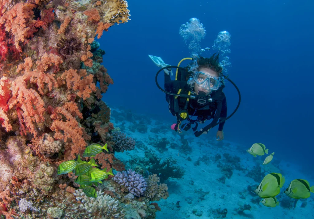 A diver swims beside a wall of orange coral with yellow fish around it.