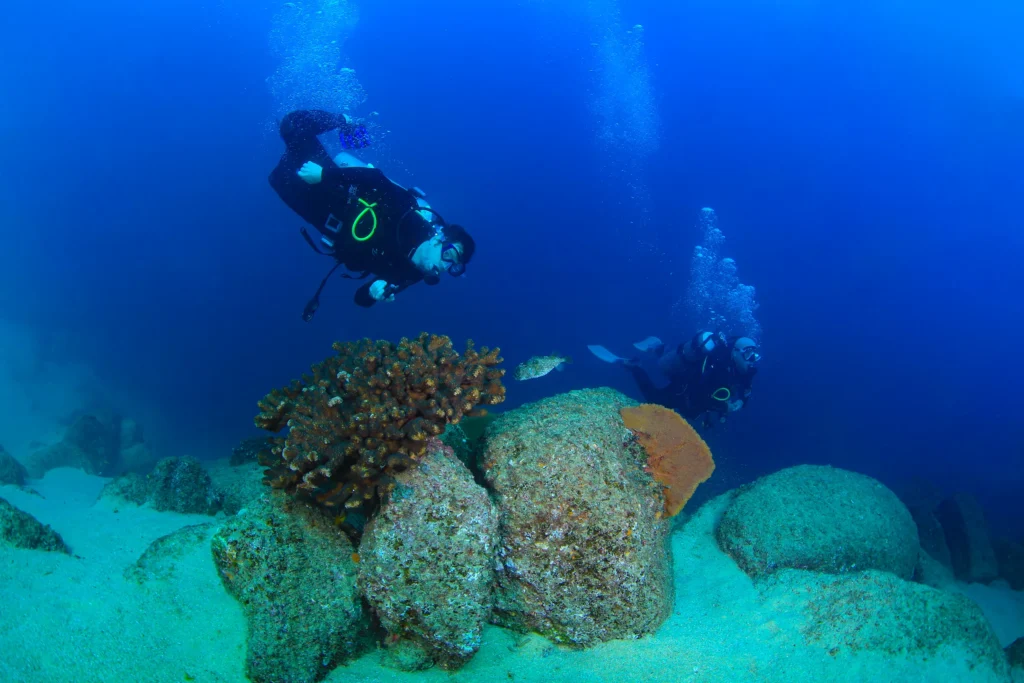 A diver swims over a rocky reef with a dark bait ball of fish behind.