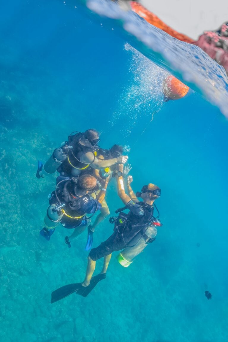 Two divers descend together through clear blue water from the surface.