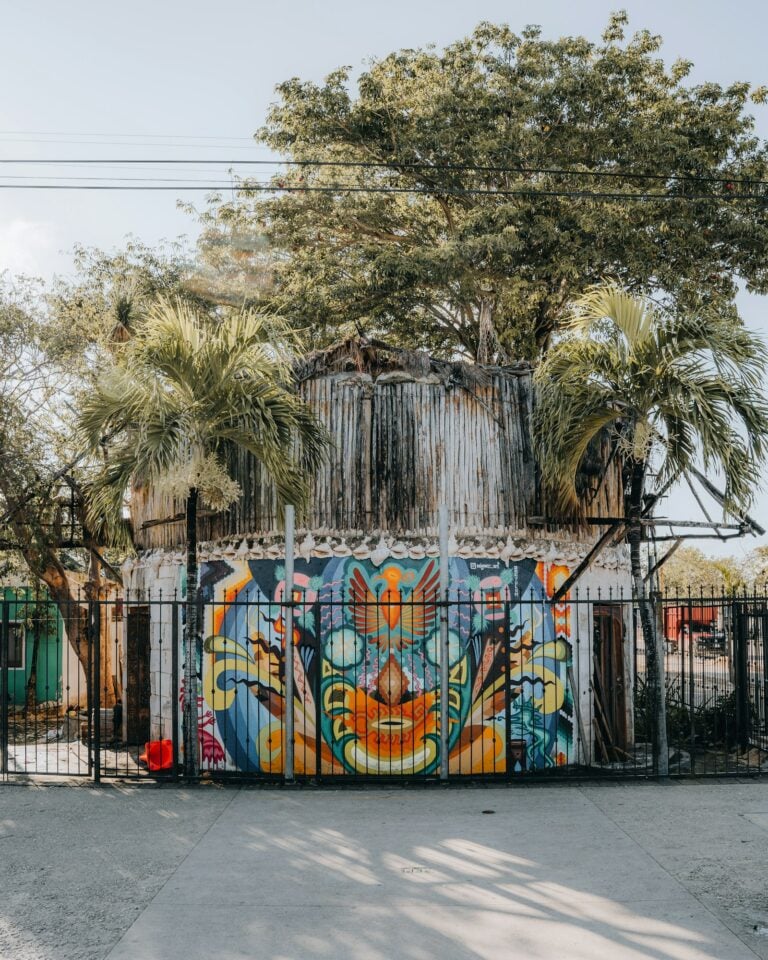 A colourful mural of a stylised face painted on a rustic building behind a fence, framed by palms