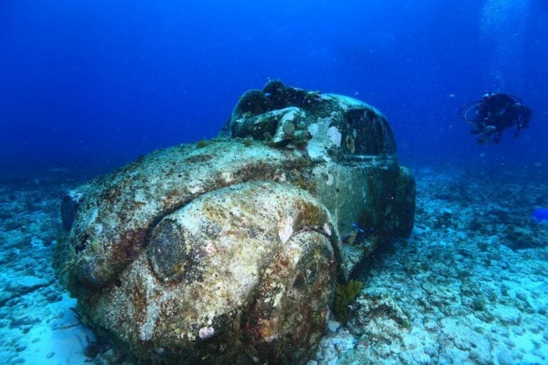 Diver beside the coral-covered VW Beetle sculpture at the MUSA underwater museum