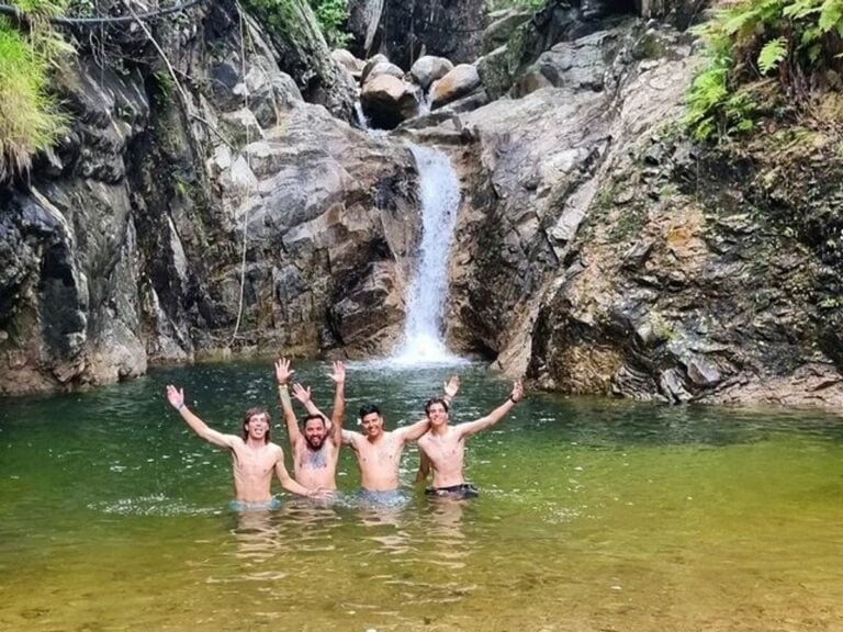 Group swimming in the pool below a jungle waterfall