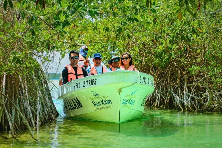 Guests in the tour boat in a mangrove canal
