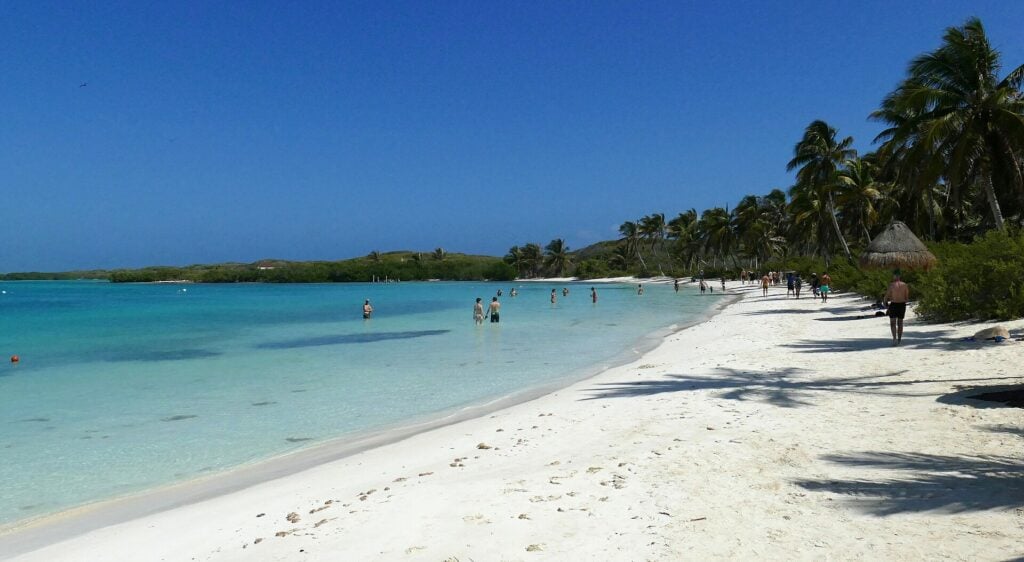 The white-sand visitor beach on Isla Contoy, with shallow turquoise water, palms and a palapa