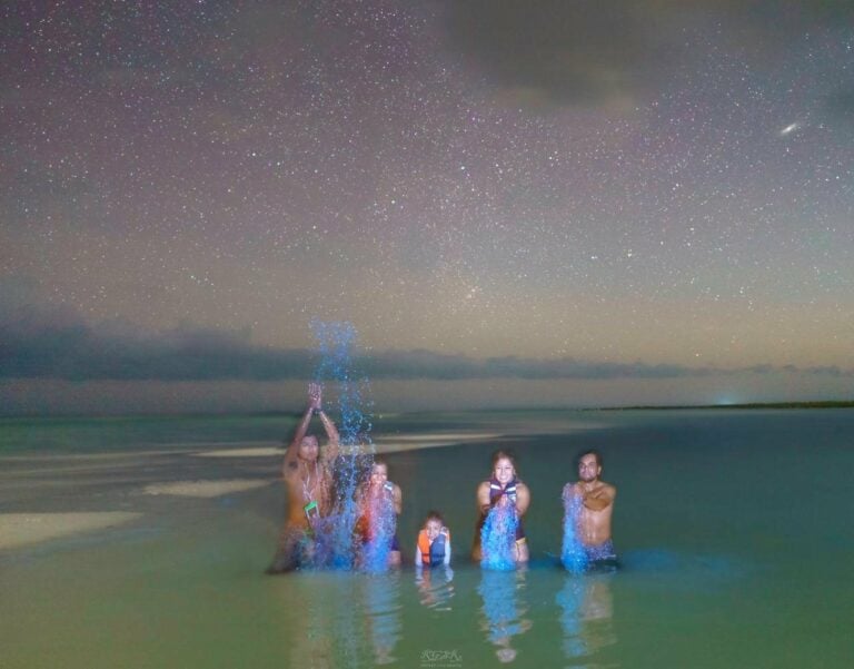 A family stands in shallow water at night under a starry sky, the water glowing with plankton