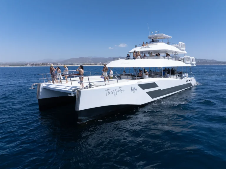 A catamaran runs along a cliff coastline with guests sitting on the bow.