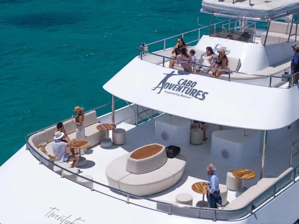 An aerial view down onto the sun deck and lounge furniture of a catamaran.