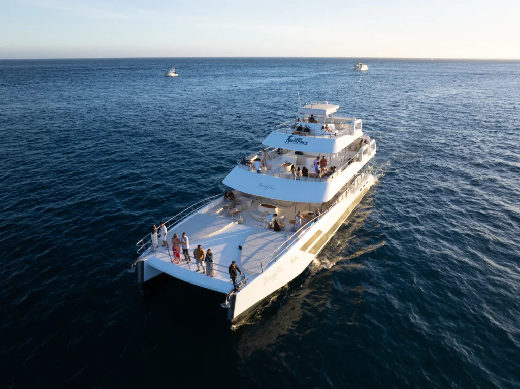 A white catamaran runs across deep blue water seen from the air.