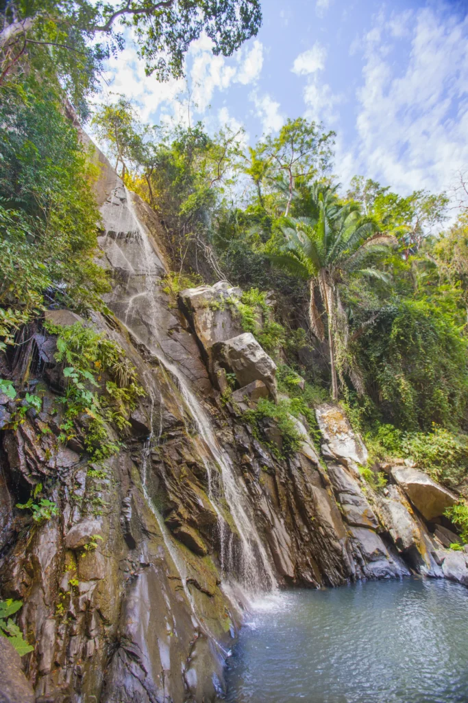 A waterfall drops down a mossy rock face into a green pool surrounded by palms and jungle.